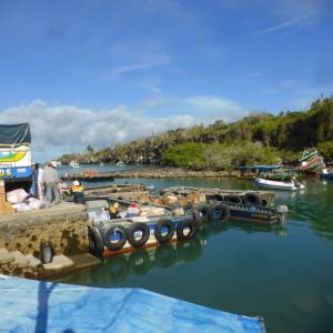 Galapagos: Isla San Cristóbal to Isla Santa Cruz: A Man Needs a Rest