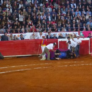Mexican Bullfight in Mexico City